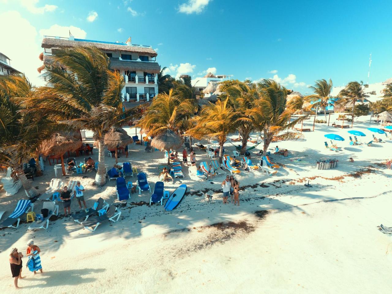 Hotel Blue Reef Frente Al Mar Mahahual Eksteriør billede